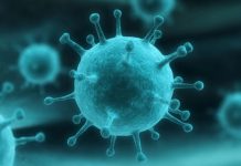 Лучшие мифы о коронавирусе