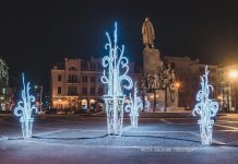 В парке Шевченко появились светящиеся растения