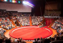 Легенды харьковского цирка