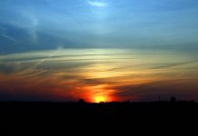 В информационно-выставочном центре «Бузок» открылась выставка мобильной фотографии